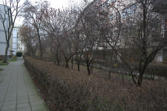 Housing area next to Metor Wilenski