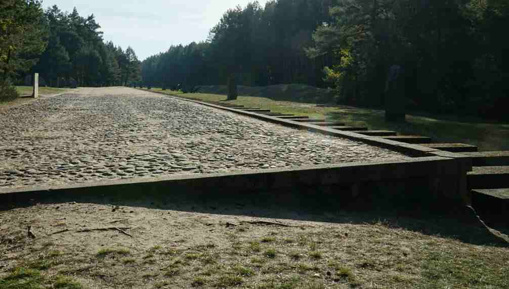 They arrived in trains every day from all over Europe